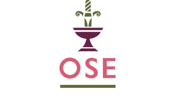 The OSE Committee AGM Zoom